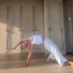 Joga wild thing