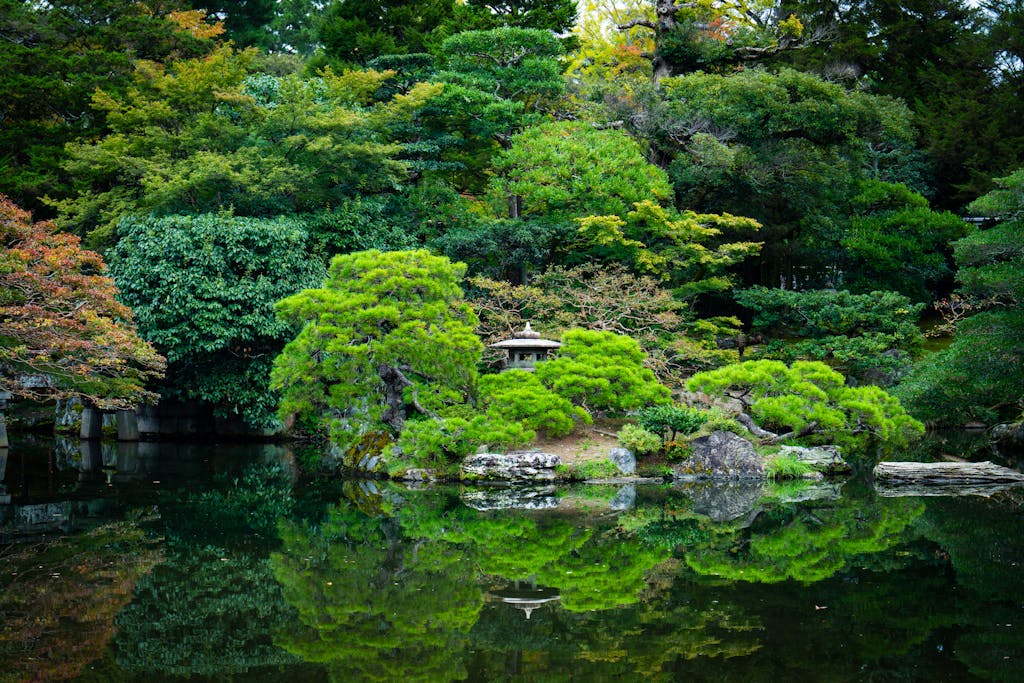 A tranquil Japanese garden with lush greenery reflecting in a pond, offering a serene zen atmosphere.